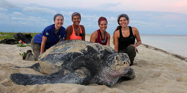 Dana DeSousa and team with turtle
