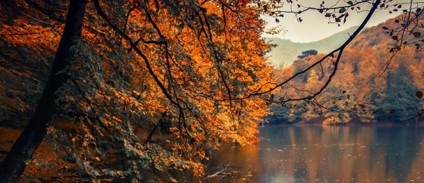 Fall Lake Photo
